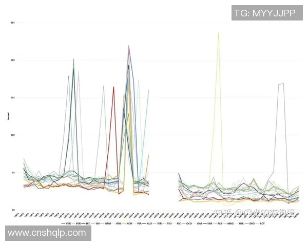 F1车队赛中实时策略调整与数据分析应用研究与实践